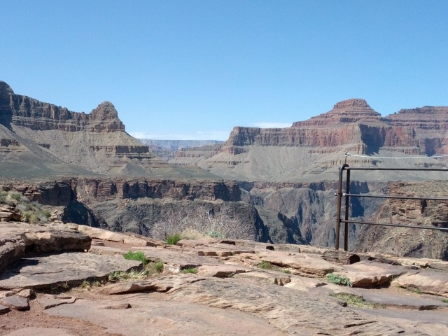 IMG_20130316_122206.jpg